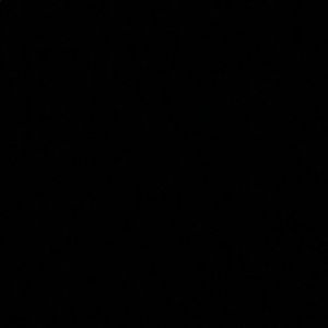 Meet your Posher, Destiny